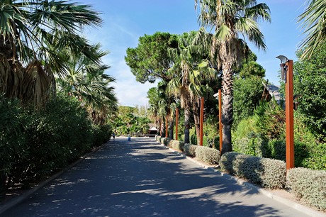 Port Grimaud